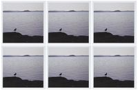 3dRose A seagull dreams photograph - Greeting Cards, 6 x 6 inches, set of 6 (gc_19248_1)