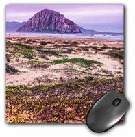 3Drose LLC 8 X 8 X 0.25 Inches Mouse Pad, Morro Rock and Bay (Mp_110807_1)