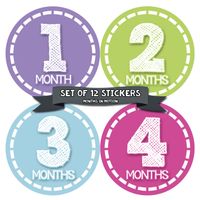 Months in Motion Baby Monthly Stickers - Baby Milestone Stickers - Newborn Girl Stickers - Month Stickers for Baby Girl - Baby Girl Stickers - Newborn Monthly Milestone Stickers - Style 376