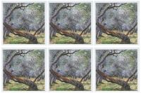 3dRose Study of Olive Trees by Claude Monet, 1884 - Greeting Cards, 6 x 6 inches, set of 6 (gc_126609_1)