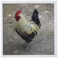 3dRose Rooster - Greeting Cards, 6 x 6 inches, set of 12 (gc_4328_2)