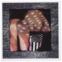 3dRose Born Free - Greeting Cards, 6 x 6 inches, set of 12 (gc_12507_2)