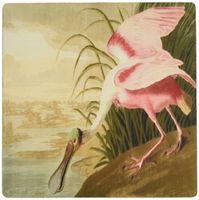 3dRose 8 x 8 x 0.25 Inches Mouse Pad, John J Audubon Painting of A Roseate Spoonbill Bird (mp_119772_1)
