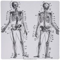3dRose 8 x 8 x 0.25 Inches Image of Victorian Skelton Front and Back Mouse Pad (mp_163162_1)