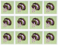 3dRose Indian Head-Dress 6 x 6 Inches Greeting Cards, Set of 12 (gc_15634_2)