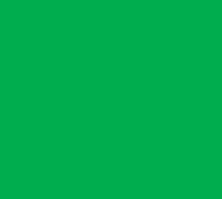 Green Solid (24" X 100') Cellophane Roll