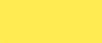 Bright Yellow #10 Envelopes - 50 envelopes