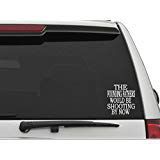Decal Dan - "The Founding Fathers Would be Shooting by Now Vinyl Car Truck Window Laptop Decal Sticker Political