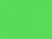 Lee #089 Moss Green Gel Filter