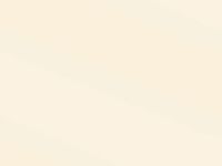 Wedding Wrap - Champagne Pearl 18"x833' Gift Wrap Full Ream Roll (1 roll) - Wraps -E6277F18