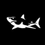 Great White Shark Vinyl Decal Sticker | Cars Trucks Vans Walls Laptops Cups | White | 6 inches | KCD1032