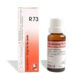 Dr. Reckeweg R73 Joint Pain Drop