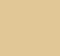 Premium 20" x 30" Color Tissue Paper - 480 Sheets (Desert Tan)