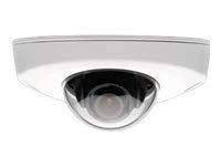 Network surveillance camera - pan / tilt - dustproof / waterproof / tamper-proof - color - 1920 x 1080 - 1080p - M12 mount - fixed iris - fixed focal - LAN 10/100 - MPEG-4, MJPEG, H.264 - PoE Plus