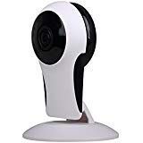 XtremPro IPW2-720P 1.0 Mega Pixel CMOS Sensor IP Security Camera 180º Degrees
