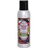 Smoke Odor Exterminator 7 oz Large Spray (2)
