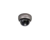 SPECO CCLR13D1G Miniature Weather/Vandal/Tamper Resistant Color Dome Camera with Chameleon Cover, 2.8-12mm Lens, Dark Grey Housing