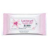 Lactacyd All Day Care Feminine Wipes Pull x 5 packs