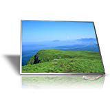 HP New Pavillion DV6-1359WM / DV6-3019WM 15.6" Laptop LCD Screen LED HD A++ (Compatible Replacement Screen)