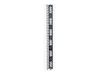 APC by Schneider Electric Vertical Cable Manager for NetShelter SX 750mm Wide 42U (Qty 2) - Cable Pass-Through - Black - 2 Pack - 42U Rack Height
