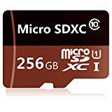 Generic 256GB Micro SD SDXC Memory Card High Speed Class 10 with Micro SD Adapter (T1D71-R256H-S6)