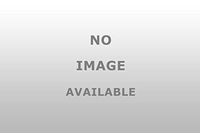 OMEGA 1291 Power Steering Pressure Line Hose Assembly