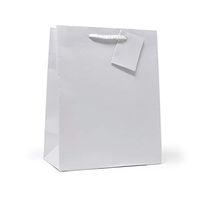 Allgala 12PK Value Premium Solid Color Paper Gift Bags (09"MED-White-GP50011)