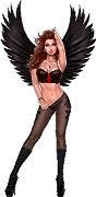 AJ's Signs & Apparel Winged Babe Pin up Vinyl Sticker Decal Cars Trucks Vans Walls Laptop MacBook
