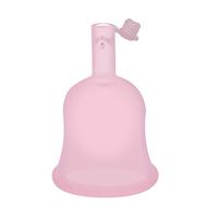DESTINLEE Menstrual Cup - Reusable Medical-Grade Silicone Tampon and Pad Alternative Most Comfortable Period Cup Wear for 12 Hours