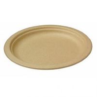 World Centric's Compostable 10" Bagasse Plate (Package of 200)