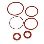FEBCO 850/860 1" CHECK MODULE RUBBER KIT