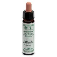 Dr Bach Mimulus Bach Flower Remedy 10ml