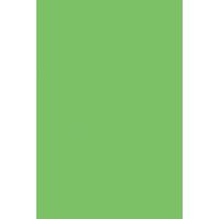 Spectra PAC59112BN Deluxe Bleeding Art Tissue, Spring Green, 20" x 30", 24 Sheets Per Pack, 5 Packs