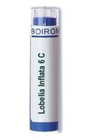 Lobelia Inflata 30C Homeopathic Medicine for Weaning Off Tobacco Cravings (80 Pellets)