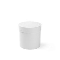 BBC Mini Flower Bouquet Box Florist Shop Supplies Gift Packaging With Lid 1 Pcs (White)