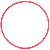 Olympus POL-EP-3 O-Ring for PT-EP03 Underwater Housing