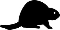 Ranger Products Beaver Car Decal Window Sticker Wild Animal (White Color Decal) - Die Cut Decal Bumper Sticker for Windows, Cars, Trucks, Laptops, Etc.