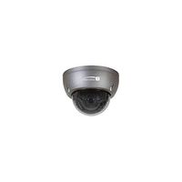 Speco Technologies HD-TVI Only 2 MP Intensifier Camera Dome Camera, Gray (HTINT591T)