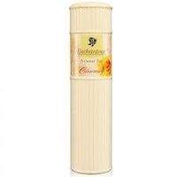 Enchanteur Perfumed Talc Fragrance Powder Charming 100 G.