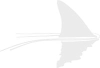 hBARSCI Shark in The Water Vinyl Decal - 5 Inches - for Cars, Trucks, Windows, Laptops, Tablets, Outdoor-Grade 2.5mil Thick Vinyl - White