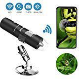 Wifi Digital Microscope, Goodan Wireless Microscope, Portable 50 to 1000X Black Updated Magnification Endoscope with Mini 8 Led Inspection Camera for Iphone IOS and Android Smartphone, Ipad