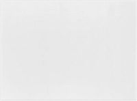 #3 Mini Flat Card (2 x 3 1/2) - 100lb. Bright White (250 Qty.)