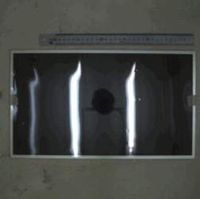 LCD Panel 17.3 Inch