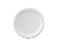 Sugarcane Bagasse Plates-Naturally Organic Eco-Friendly Biodegradable&Compostable, Paper&Plastic Alternative-9 inch Plate (125)