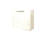 Singular Metallizing Party Gift Paper Bags Large Size (Set of 12) (Horizontal(16" X 12.6" X 6"), White)