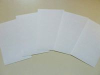 Minilabel White Paper Stickers, 118X78mm Rectangular, 5 Labels, Economy Pack