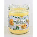 Smoke Odor Exterminator 13 oz Jar Candles Picking Daisies, (2)