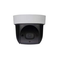 Loryta SD29204UE-GN 2MP 4X Starlight IR PTZ Network Camera Support PoE English Version