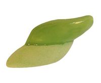 Underglaze 2oz Med Green