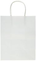 Super Z Outlet Paper Gift Bags with Handles 8" x 10.25" x 4.25" for Arts & Crafts Projects, Coloring, Birthdays, Shopping, Presents (13 Pack) (White)